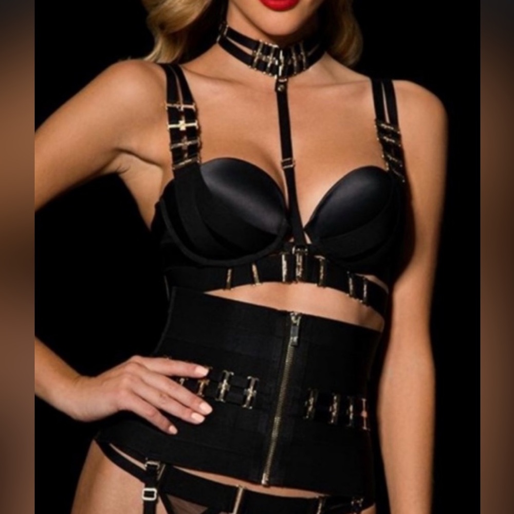 Honey Birdette Samantha bra and waist corset: bra 34DD and corset medium.